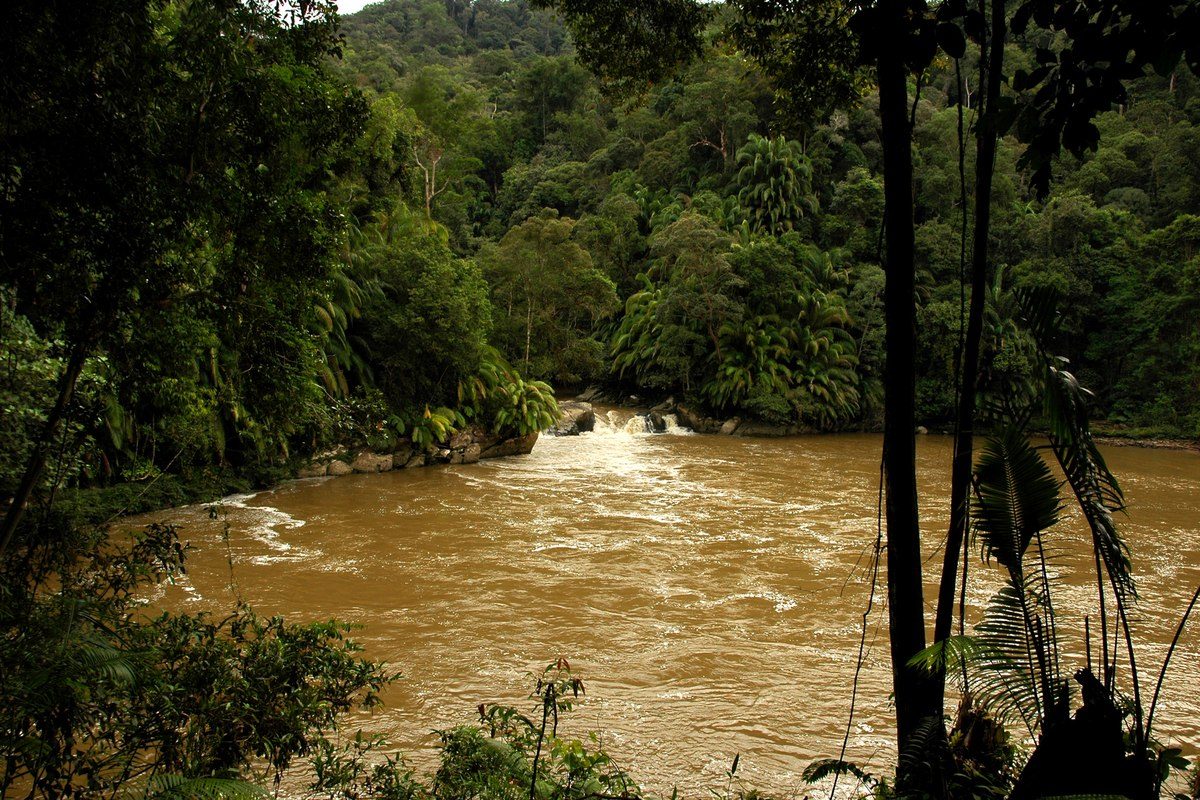 Foto arsip kawasan Sungai Mentarang di Taman Nasional Kayan Mentarang, Mei 2006; konteks hutan Kalimantan, bukan dokumentasi hotspot atau kebakaran terbaru.