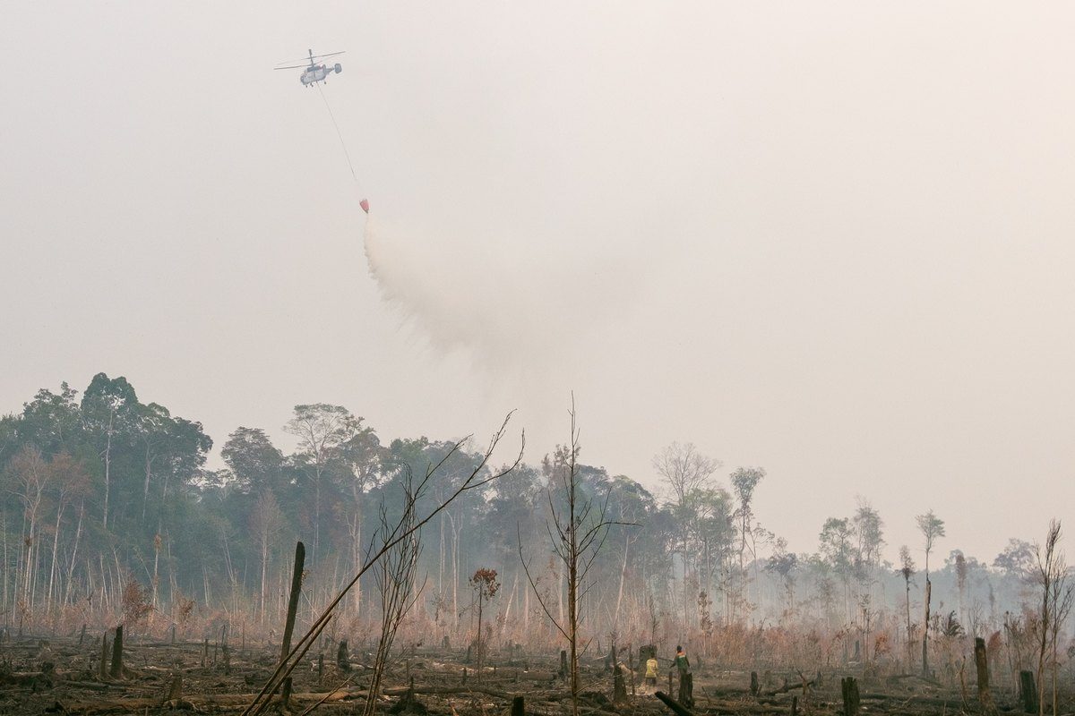 Helikopter water bombing di Taman Nasional Sebangau, Kalimantan Tengah, 22 September 2019. Foto arsip, bukan penerbangan dalam rapat 12 Oktober 2026.
